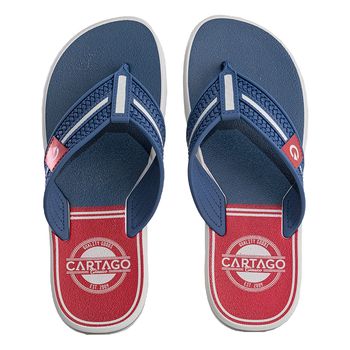 Chinelo-de-Dedo-Cinza-Azul-e-Vermelho-Est-2009-|-Cartago-Tamanho--39---Cor--CINZA-0